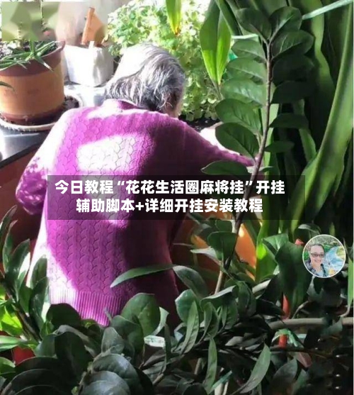 今日教程“花花生活圈麻将挂”开挂辅助脚本+详细开挂安装教程-第3张图片