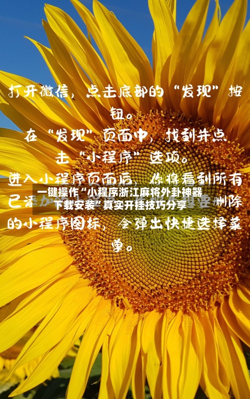 一键操作“小程序浙江麻将外卦神器下载安装”真实开挂技巧分享-第2张图片