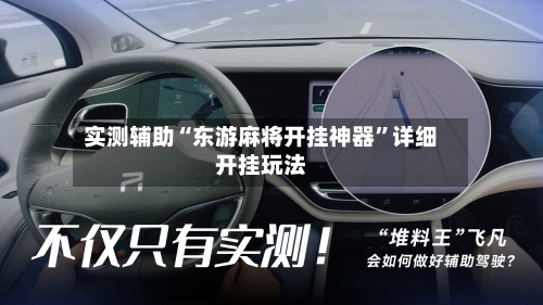 实测辅助“东游麻将开挂神器”详细开挂玩法-第2张图片