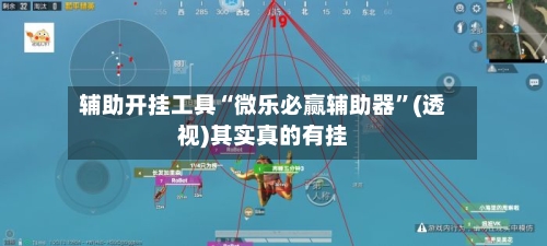 辅助开挂工具“微乐必赢辅助器”(透视)其实真的有挂-第3张图片