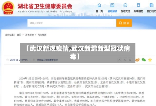 【武汉新观疫情,武汉新增新型冠状病毒】-第2张图片