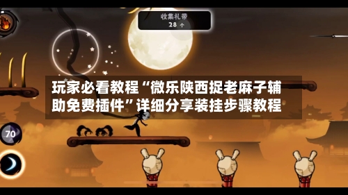玩家必看教程“微乐陕西捉老麻子辅助免费插件”详细分享装挂步骤教程-第2张图片