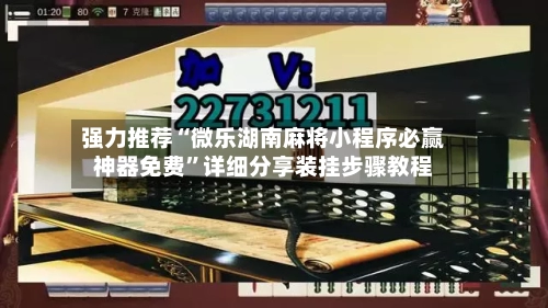 强力推荐“微乐湖南麻将小程序必赢神器免费	”详细分享装挂步骤教程-第2张图片