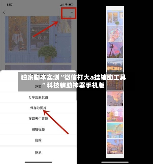 独家脚本实测“微信打大a挂辅助工具	”科技辅助神器手机版-第2张图片