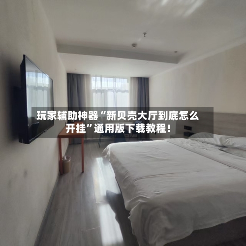 玩家辅助神器“新贝壳大厅到底怎么开挂”通用版下载教程！-第3张图片