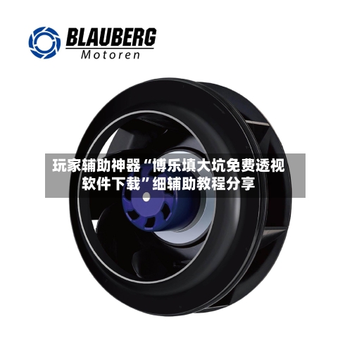 玩家辅助神器“博乐填大坑免费透视软件下载	”细辅助教程分享-第2张图片