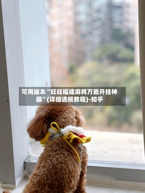 可用版本“旺旺福建麻将万能开挂神器”(详细透视教程)-知乎-第3张图片