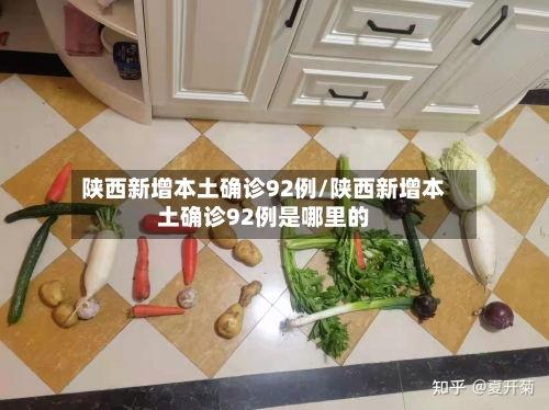 陕西新增本土确诊92例/陕西新增本土确诊92例是哪里的-第3张图片