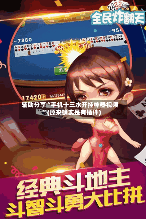 辅助分享“手机十三水开挂神器视频	”(原来确实是有插件)-第3张图片