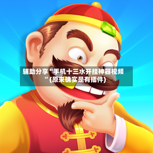 辅助分享“手机十三水开挂神器视频”(原来确实是有插件)-第2张图片