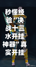 秒懂经验“决战十三水开挂神器”真实开挂技巧分享-第3张图片