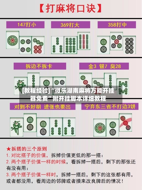 [教程经验]“微乐湖南麻将万能开挂器免费”附开挂脚本详细教程-第2张图片