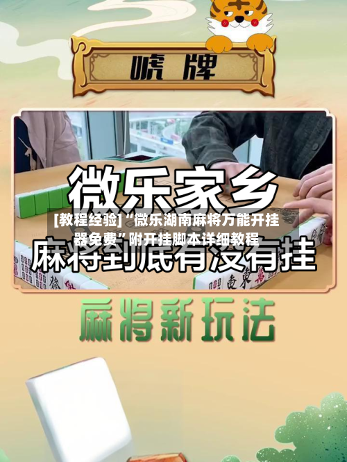 [教程经验]“微乐湖南麻将万能开挂器免费	”附开挂脚本详细教程-第3张图片
