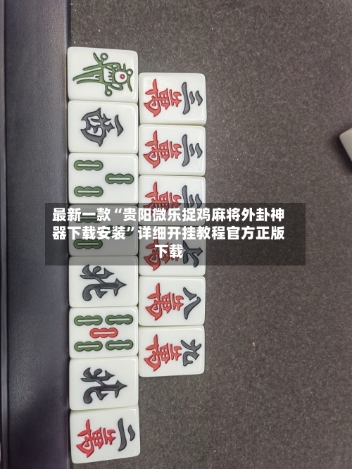 最新一款“贵阳微乐捉鸡麻将外卦神器下载安装	”详细开挂教程官方正版下载-第2张图片