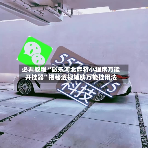必看教程“微乐河北麻将小程序万能开挂器”揭秘透视辅助万能挂用法-第2张图片