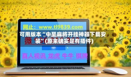 可用版本“中至麻将开挂神器下载安装”(原来确实是有插件)