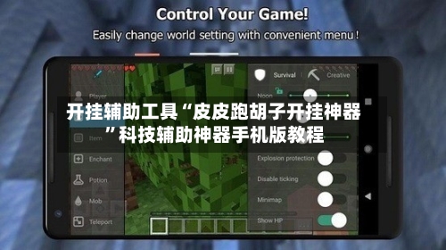 开挂辅助工具“皮皮跑胡子开挂神器”科技辅助神器手机版教程-第3张图片
