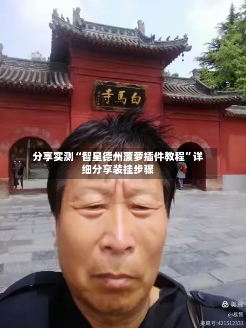 分享实测“智星德州菠萝插件教程”详细分享装挂步骤-第3张图片