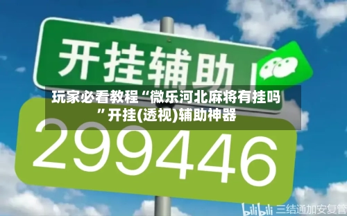 玩家必看教程“微乐河北麻将有挂吗	”开挂(透视)辅助神器-第2张图片