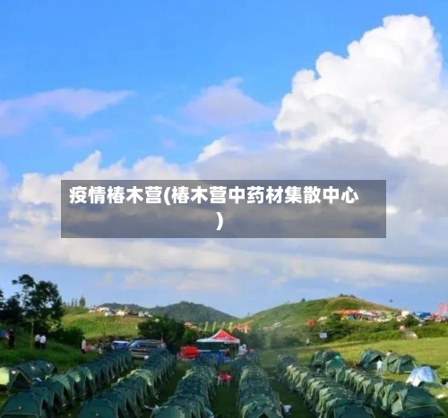 疫情椿木营(椿木营中药材集散中心)
