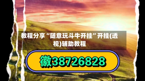 教程分享“随意玩斗牛开挂	”开挂(透视)辅助教程-第3张图片