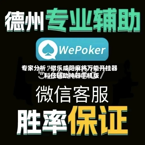 专家分析“微乐咸阳麻将万能开挂器”科技辅助神器手机版-第3张图片