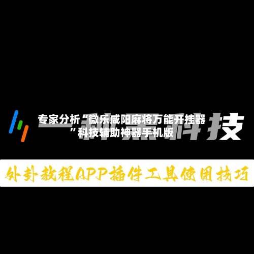 专家分析“微乐咸阳麻将万能开挂器”科技辅助神器手机版-第2张图片