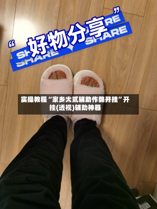 实操教程“家乡大贰辅助作弊开挂”开挂(透视)辅助神器