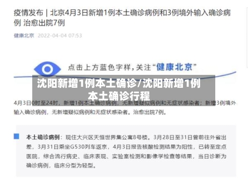沈阳新增1例本土确诊/沈阳新增1例本土确诊行程-第2张图片
