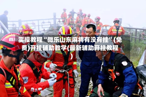 实操教程“微乐山东麻将有没有挂”(免费)开挂辅助教学(最新辅助开挂教程)-第3张图片