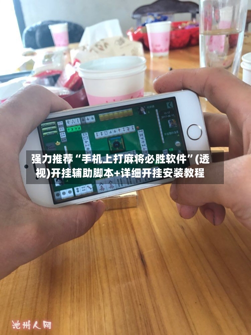 强力推荐“手机上打麻将必胜软件”(透视)开挂辅助脚本+详细开挂安装教程-第3张图片