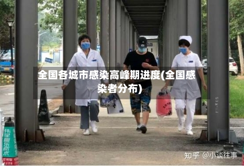 全国各城市感染高峰期进度(全国感染者分布)