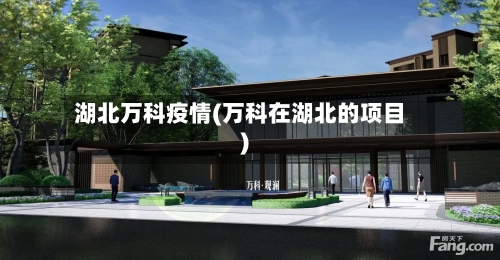 湖北万科疫情(万科在湖北的项目)