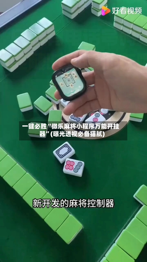 一键必胜“微乐麻将小程序万能开挂器”(曝光透视必备猫腻)-第2张图片