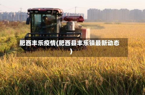 肥西丰乐疫情(肥西县丰乐镇最新动态)-第2张图片