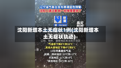 沈阳新增本土无症状1例(沈阳新增本土无症状轨迹)-第2张图片