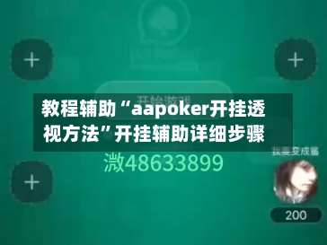 教程辅助“aapoker开挂透视方法”开挂辅助详细步骤-第3张图片
