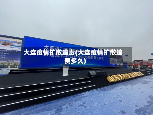 大连疫情扩散追责(大连疫情扩散追责多久)