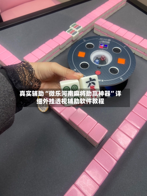 真实辅助“微乐河南麻将助赢神器	”详细外挂透视辅助软件教程-第2张图片