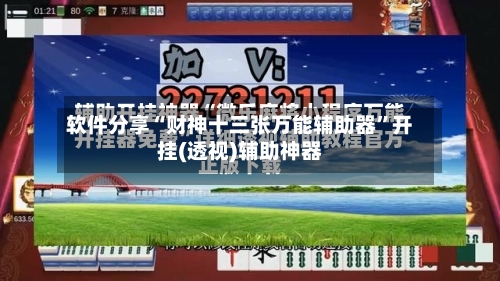 软件分享“财神十三张万能辅助器	”开挂(透视)辅助神器-第2张图片