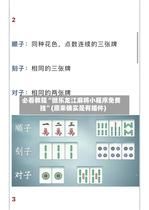 必看教程“微乐龙江麻将小程序免费挂”(原来确实是有插件)