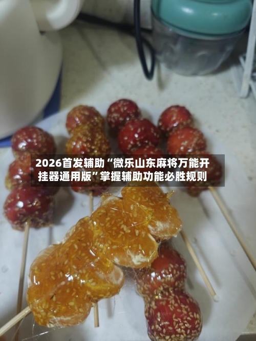 2026首发辅助“微乐山东麻将万能开挂器通用版”掌握辅助功能必胜规则