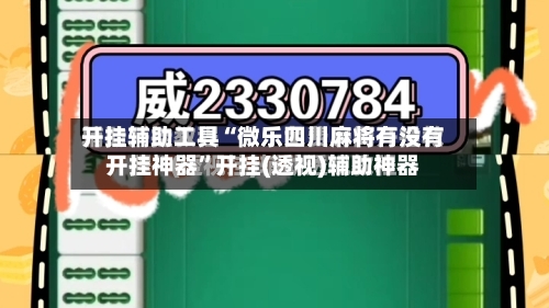 开挂辅助工具“微乐四川麻将有没有开挂神器”开挂(透视)辅助神器-第3张图片
