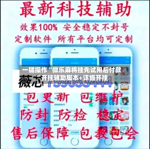 一键操作“微乐麻将挂先试用后付款”开挂辅助脚本+详细开挂-第3张图片