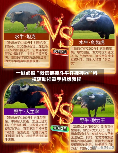 一键必胜“微信链接斗牛开挂神器”科技辅助神器手机版教程-第2张图片