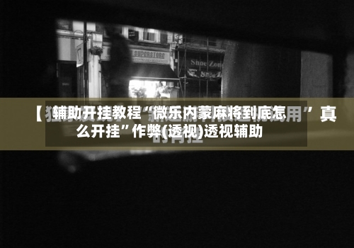 辅助开挂教程“微乐内蒙麻将到底怎么开挂”作弊(透视)透视辅助-第3张图片