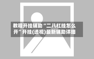 教程开挂辅助“二八杠挂怎么开”开挂(透视)最新辅助详细-第3张图片