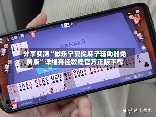 分享实测“微乐宁夏捉麻子辅助器免费版”详细开挂教程官方正版下载-第2张图片