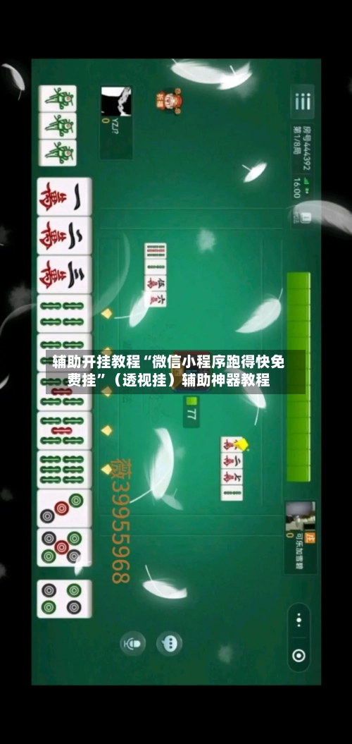 辅助开挂教程“微信小程序跑得快免费挂”（透视挂）辅助神器教程-第2张图片