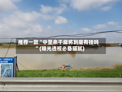 推荐一款“中至余干麻将到底有挂吗”(曝光透视必备猫腻)-第2张图片